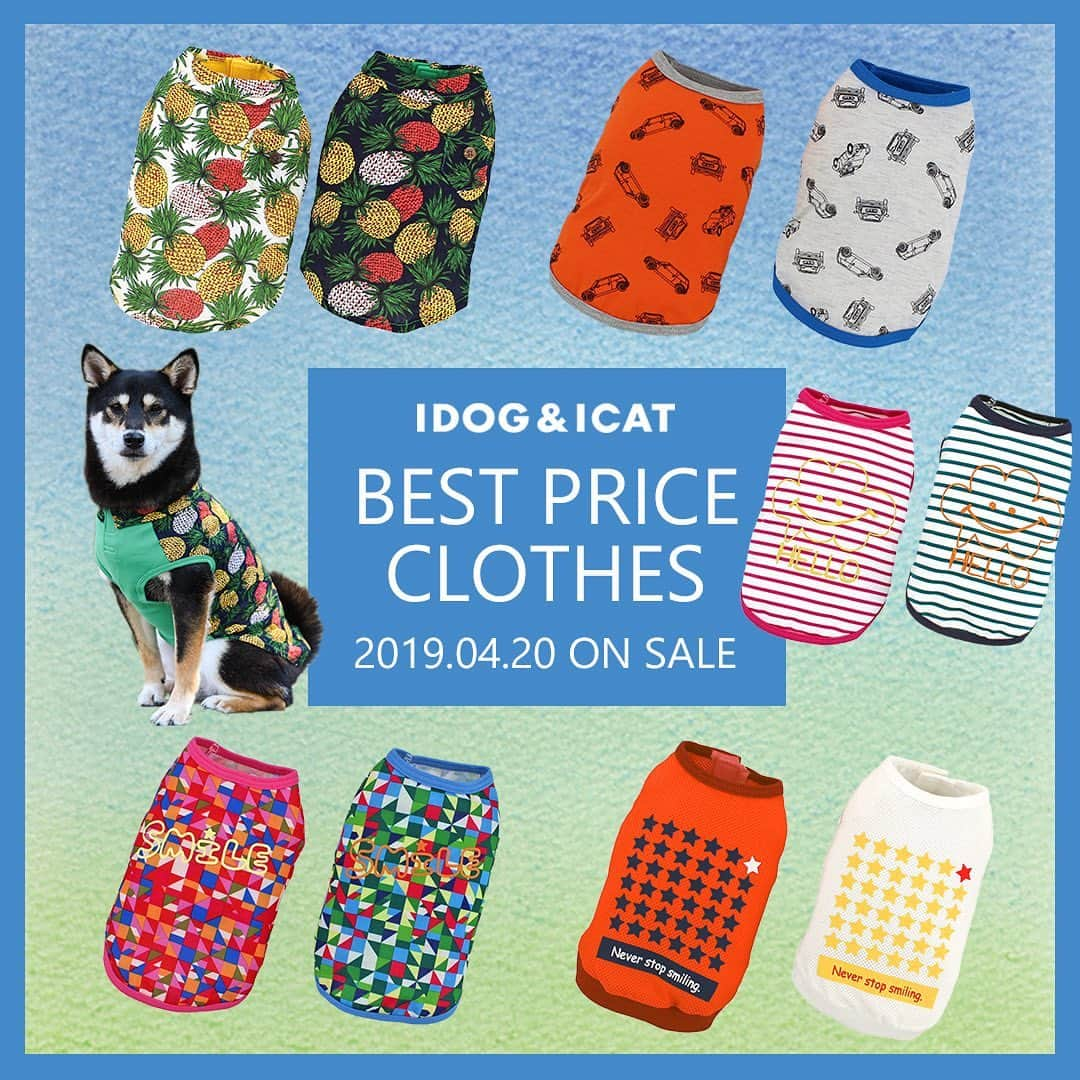 iDog&iCatさんのインスタグラム写真 - (iDog&iCatInstagram)「. 【1枚1080円～大人気プチプラウェア発売開始！】 . IDOG&ICATでは5/10より、販売開始しております♪ 楽天店舗URL：https://item.rakuten.co.jp/idog/c/0000000129/ . 寒い冬を越え、だんだんと暖かくなってきた今日この頃。 今すぐから暑い夏まで着られる春夏ウェアを多数販売♪ . 700円のカジュアルなタンクや涼しげなシャツまで！ 安くてカワイイウェアが11型UP♪ 在庫限りで販売終了になるので、お気に入りが見つかりましたら、お早目にどうぞ★ . イベントの詳細はプロフィールのURLからご確認ください♪ . . IDOG&ICAT公式LINEをお友達登録でお得な情報をゲットしよう！LINE ID『 ＠idogicat 』で検索♪ . #iDog #iDogiCat #iCat #ペット服 #ドッグウェア #新作 #プチプラ #犬服 #犬の服 #犬の服iDog #犬 #超小型犬 #小型犬 #中型犬  #キャットウェア #猫服 #猫の服 #猫の服iCat #猫#わんすたぐらむ #dog #にゃんすたぐらむ #cat #チワワ#トイプードル #ミニチュアダックスフンド#MIX犬」5月10日 12時55分 - idogicat