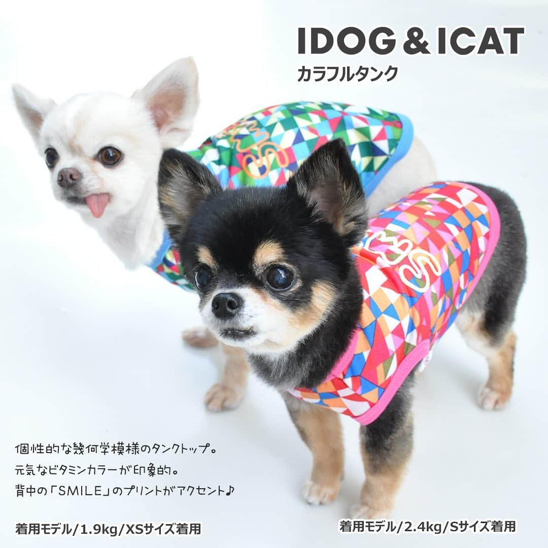 iDog&iCatさんのインスタグラム写真 - (iDog&iCatInstagram)「. 【1枚700円～大人気プチプラウェア発売開始！】 . IDOG&ICATでは5/10より、販売開始しております♪ 楽天店舗URL：https://item.rakuten.co.jp/idog/c/0000000129/ . 在庫限りで販売終了になるので、お気に入りが見つかりましたら、お早目にどうぞ★ . イベントの詳細はプロフィールのURLからご確認ください♪ . . IDOG&ICAT公式LINEをお友達登録でお得な情報をゲットしよう！LINE ID『 ＠idogicat 』で検索♪ . #iDog #iDogiCat #iCat #ペット服 #ドッグウェア #新作 #プチプラ #犬服 #犬の服 #犬の服iDog #犬 #超小型犬 #小型犬 #中型犬  #キャットウェア #猫服 #猫の服 #猫の服iCat #猫#わんすたぐらむ #dog #にゃんすたぐらむ #cat #チワワ#トイプードル #ミニチュアダックスフンド#MIX犬」5月10日 12時57分 - idogicat