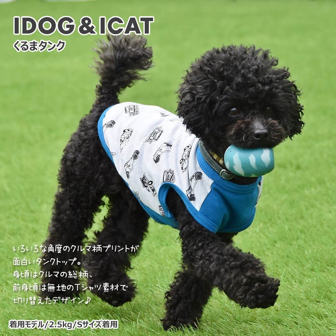 iDog&iCatさんのインスタグラム写真 - (iDog&iCatInstagram)「. 【1枚700円～大人気プチプラウェア発売開始！】 . IDOG&ICATでは5/10より、販売開始しております♪ 楽天店舗URL：https://item.rakuten.co.jp/idog/c/0000000129/ . 在庫限りで販売終了になるので、お気に入りが見つかりましたら、お早目にどうぞ★ . イベントの詳細はプロフィールのURLからご確認ください♪ . . IDOG&ICAT公式LINEをお友達登録でお得な情報をゲットしよう！LINE ID『 ＠idogicat 』で検索♪ . #iDog #iDogiCat #iCat #ペット服 #ドッグウェア #新作 #プチプラ #犬服 #犬の服 #犬の服iDog #犬 #超小型犬 #小型犬 #中型犬  #キャットウェア #猫服 #猫の服 #猫の服iCat #猫#わんすたぐらむ #dog #にゃんすたぐらむ #cat #チワワ#トイプードル #ミニチュアダックスフンド#MIX犬」5月10日 12時57分 - idogicat