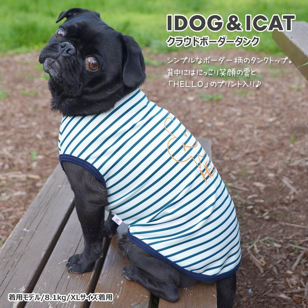 iDog&iCatさんのインスタグラム写真 - (iDog&iCatInstagram)「. 【1枚700円～大人気プチプラウェア発売開始！】 . IDOG&ICATでは5/10より、販売開始しております♪ 楽天店舗URL：https://item.rakuten.co.jp/idog/c/0000000129/ . 在庫限りで販売終了になるので、お気に入りが見つかりましたら、お早目にどうぞ★ . イベントの詳細はプロフィールのURLからご確認ください♪ . . IDOG&ICAT公式LINEをお友達登録でお得な情報をゲットしよう！LINE ID『 ＠idogicat 』で検索♪ . #iDog #iDogiCat #iCat #ペット服 #ドッグウェア #新作 #プチプラ #犬服 #犬の服 #犬の服iDog #犬 #超小型犬 #小型犬 #中型犬  #キャットウェア #猫服 #猫の服 #猫の服iCat #猫#わんすたぐらむ #dog #にゃんすたぐらむ #cat #チワワ#トイプードル #ミニチュアダックスフンド#MIX犬」5月10日 12時57分 - idogicat