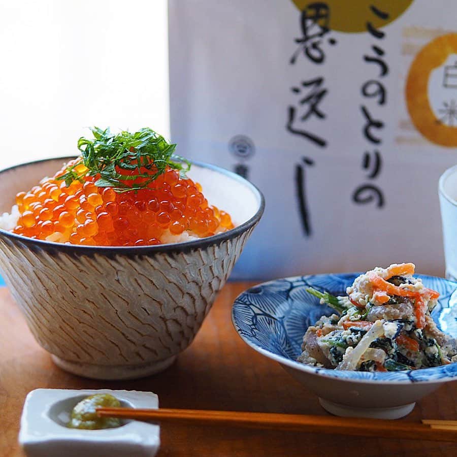 コウタ ＆ *Ryo*のインスタグラム