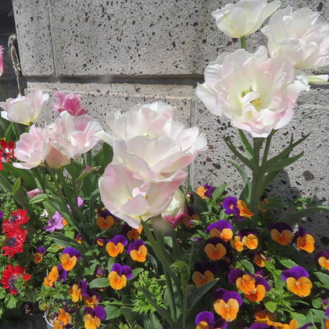 魔女菅原のグルメインスタ