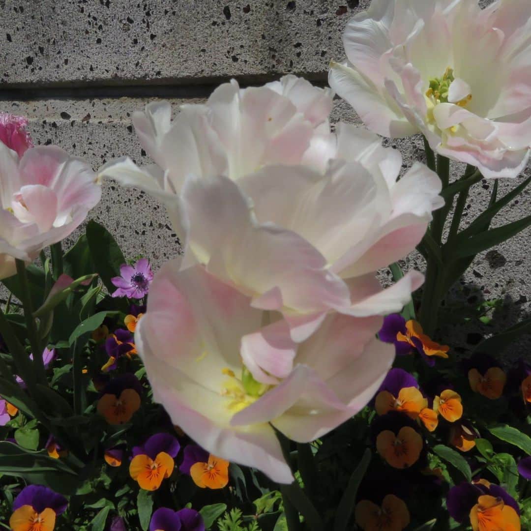 魔女菅原のグルメインスタ