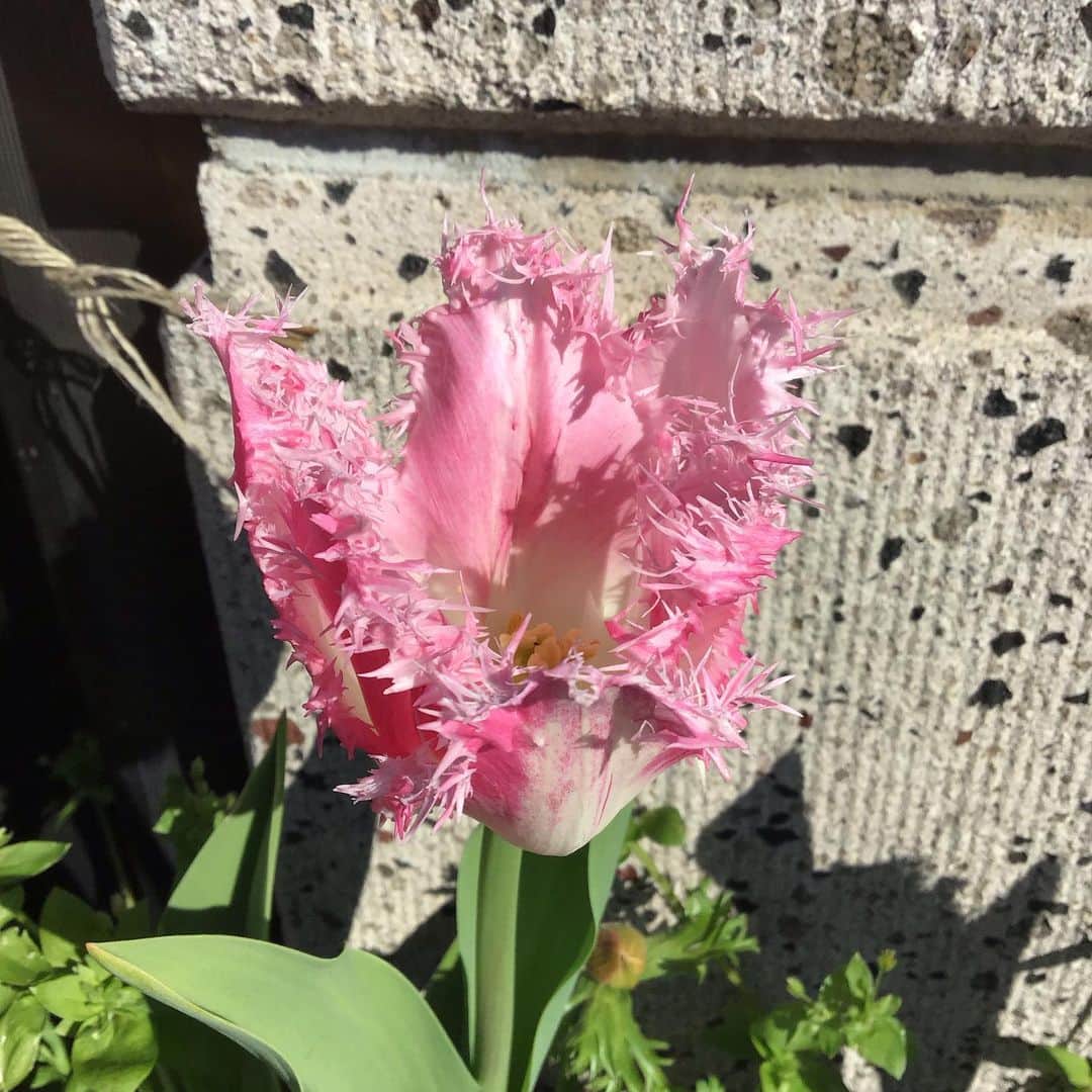 魔女菅原のグルメインスタ