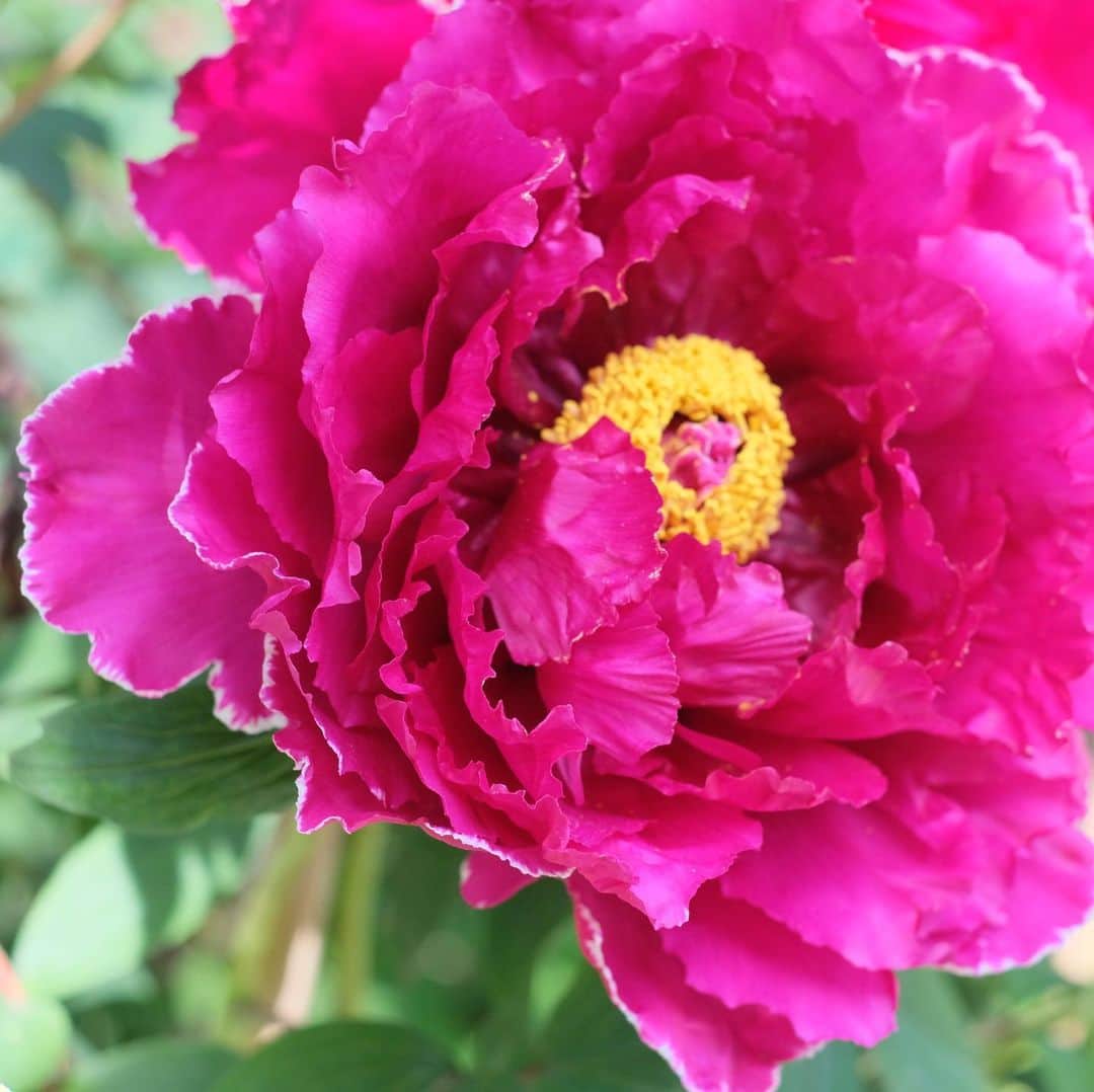 奈良 長谷寺 / nara hasederaのグルメインスタ