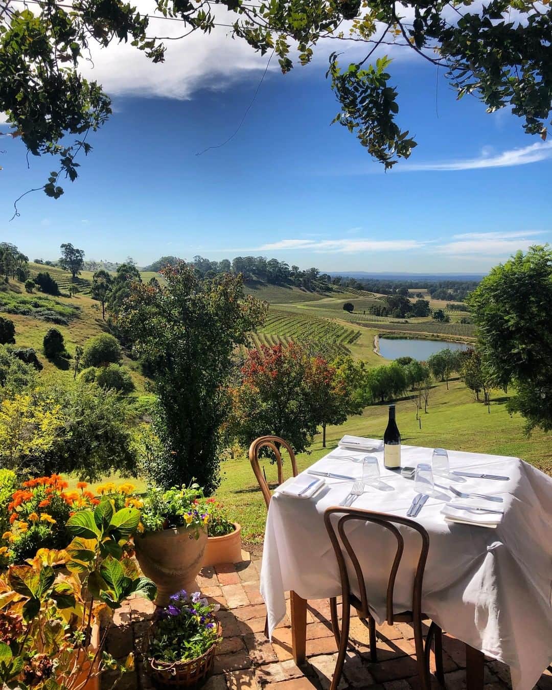 Australiaさんのインスタグラム写真 - (AustraliaInstagram)「Let us show you to your table... 👀 If you’re looking for the perfect setting for a long lunch, it's hard to go past @BistroMolines in the @HunterValley. This restaurant in @visitnsw's #wine region serves up spectacular food, an enviable wine list and excellent hospitality, and the view isn’t bad either. 😉  Only a 2.5-hour drive from @sydney, the #HunterValley region's array of award-winning restaurants and more than 120 wineries are a must-do for foodies and wine lovers.  #SeeAustralia #NewSouthWales #RestaurantAustralia #WineCountry #vineyard」5月10日 15時00分 - australia