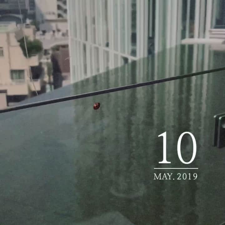 津島衣里のグルメインスタ