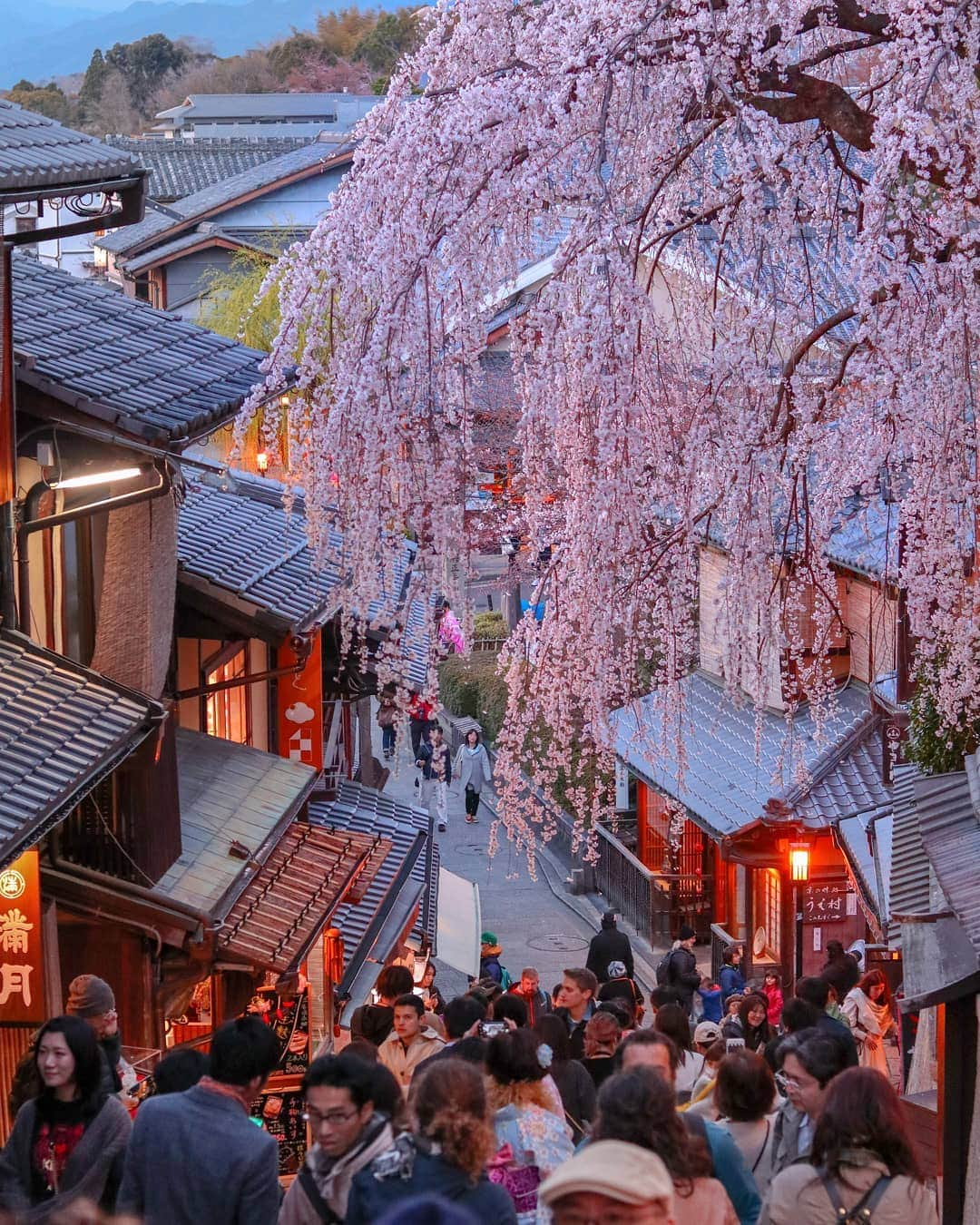 吉松育美さんのインスタグラム写真 - (吉松育美Instagram)「#Kyoto × Cherry Blossom🌸🌸🌸 . . #Japan . . めっちゃキレイだけどめっちゃ人😅💦💦💦💦 . . . #bestlocations #bestlocationever #epicpictures #photographyislifestyle #justshootit #kyotogram #tokyogram #Kyoto_Japan #japanphotos #japanphotograph #tokyosnap #京都の桜 #japanesecherryblossom #justgoshoots #Japan #kyotostyle」5月10日 15時49分 - ikumiyoshimatsu