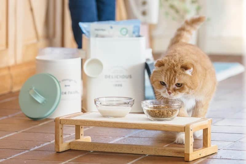 カインズさんのインスタグラム写真 - (カインズInstagram)「大切なワンちゃん、ネコちゃんの毎日の食事をより食べやすく。 テーブルの高さをペットに合わせて調節できるので、首や腰への負担が軽くなり、お皿を斜めにすることで食器の手前に水やフードが自然と集まります。シニアのペットでも楽に食事ができますね。 天板はすべり止めマット付きでお皿が滑りにくく、ドッグテーブルは8・11・14・17cmの4段階に、キャットテーブルは5・7・9cmの3段階に高さが変更できます。 . 高さと角度が変えられるドッグテーブル 価格 1,980円(税込) . 高さと角度が変えられるキャットテーブル 価格 1,980円(税込) . 詳しくはこちら http://www.cainz.com/shop/g/g4549509317012/ . #テーブル #ペット用 #犬 #猫 #調節 #高さ #角度 #すべり止め #食事 #table #forpets #dog #cat #adjustment #height #angle #nonslip  #meal #cainz #cainzhome #カインズ #カインズホーム #くらしにららら」5月10日 16時14分 - cainz_official