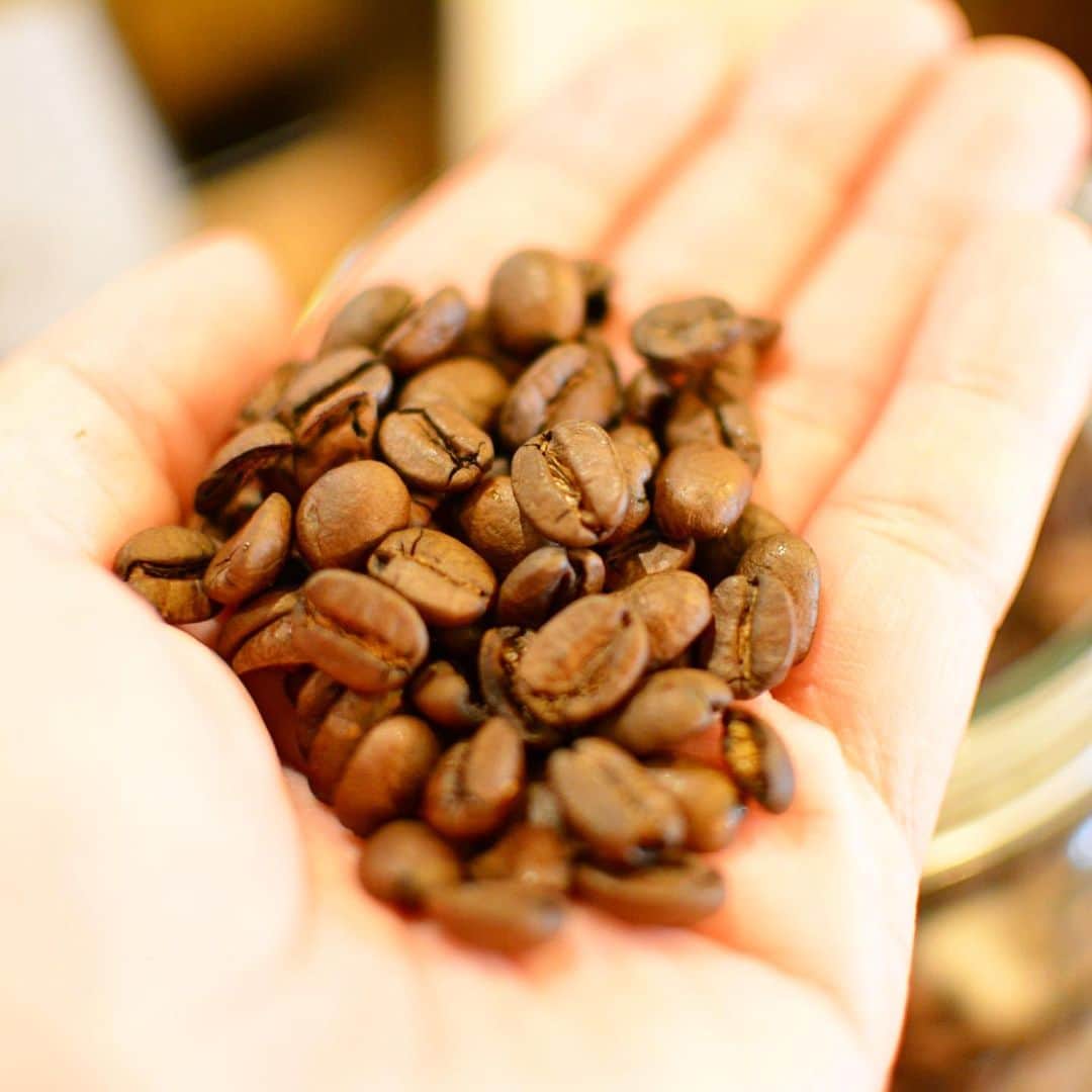 vegecafe＋αのグルメインスタ