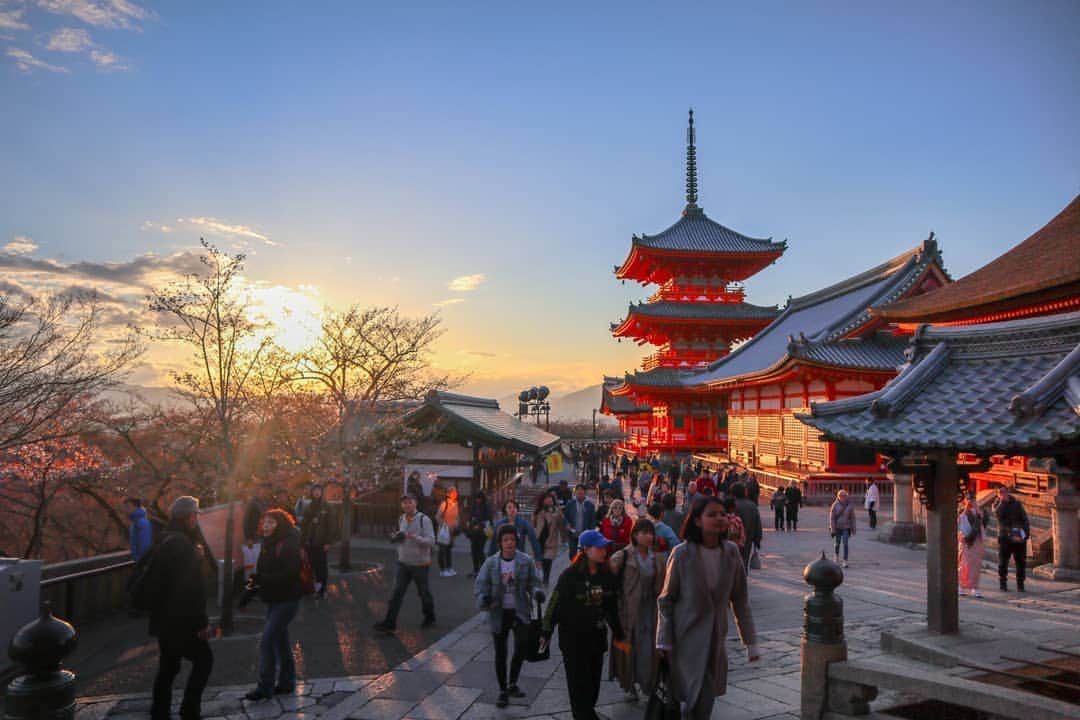 吉松育美さんのインスタグラム写真 - (吉松育美Instagram)「Such a beautiful historical city #Kyoto ❤❤❤ . 何か良いよね～🇯🇵💞 . あー日本だな～って😍ああ～京都いいなーって😍😍😍 . . #Kyoto #japan #temple #お寺 #神社 #日本 #京都 #写真好きな人と繋がりたい #bestlocations #bestlocationever #epicpictures #photographyislifestyle #justshootit #kyotogram #tokyogram #Kyoto_Japan #japanphotos #japanphotograph #tokyosnap #kyototemples #eosm100 #キャノンカメラ」5月10日 16時56分 - ikumiyoshimatsu