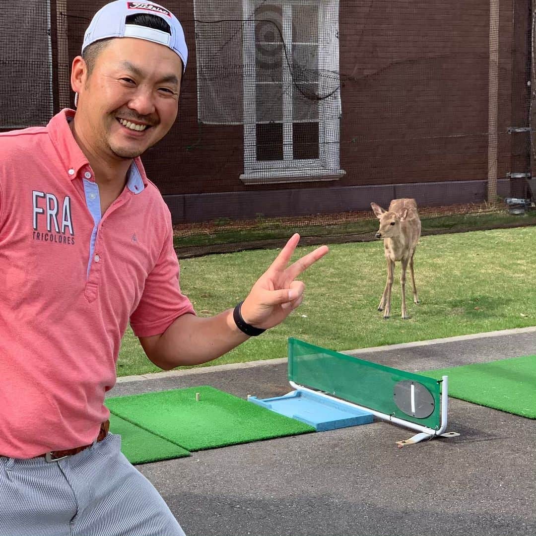 枡田慎太郎さんのインスタグラム写真 - (枡田慎太郎Instagram)「顔パンパン…ややぽっちゃり気味。笑 腹少し出てるかも。笑 まぁえーか〜笑 ゴルフ場に鹿出現したから鹿と記念撮影！笑 #ゴルフ#ゴルフおじさん#アラボーイ」5月10日 16時56分 - masushin78