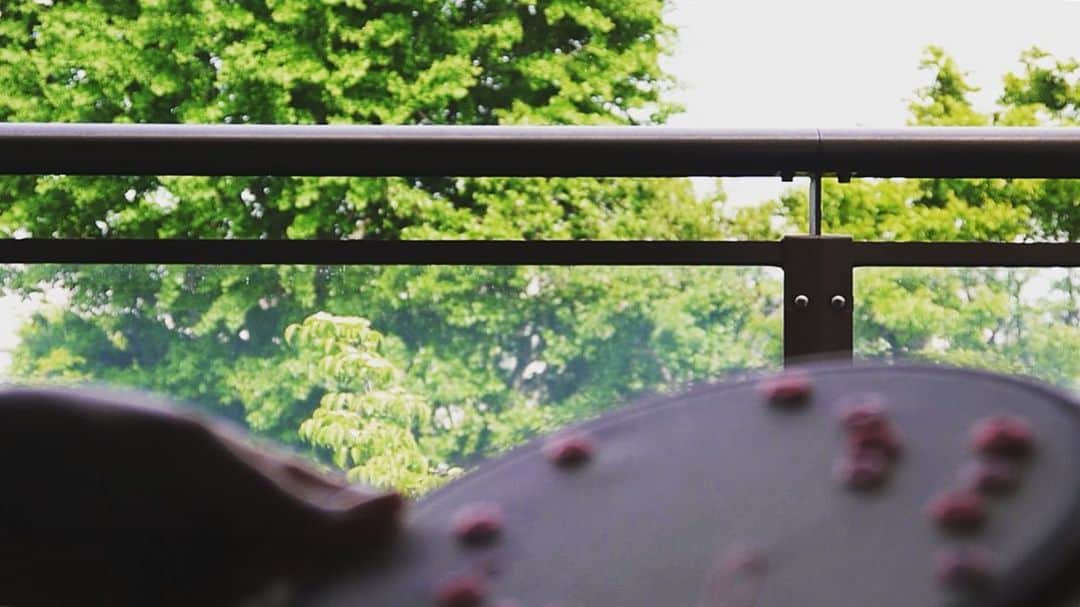 二宮愛のインスタグラム：「#naturelover #lovenature #greens #sunnyday #happyday #letsstayhome  ________________ 感謝の気持ちに満たされて、幸せな1日です。 よし。そろそろ動くぞ🐷💕 運動するぞ！だって今夜はカレーだぞ🍛🧸」