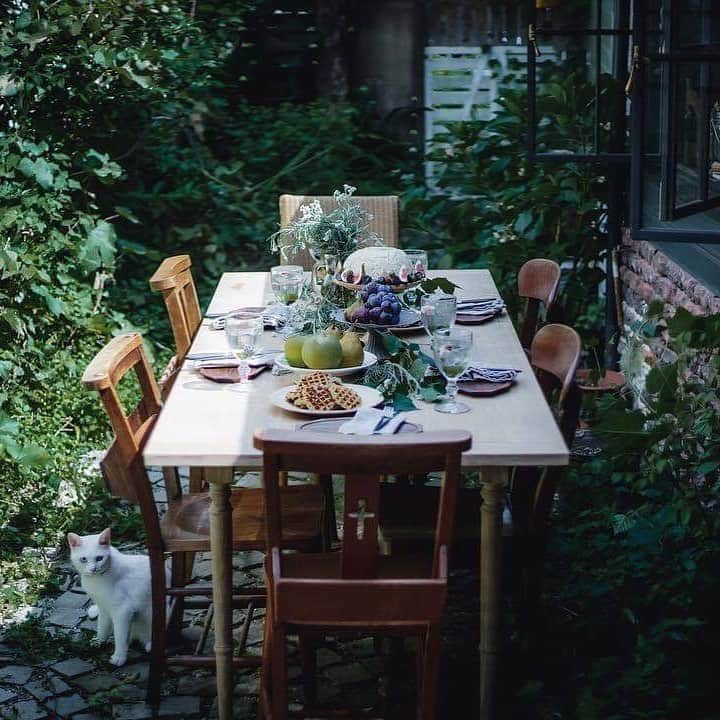 KANEBO OFFICIALさんのインスタグラム写真 - (KANEBO OFFICIALInstagram)「EARLY SUMMER TABLE ゲストを迎える心地よい空間。 Cordially welcome in a relaxing mood. 写真提供: @haruyonakano #lifestyle #party #interior #house #design #lunch #homepalty #coordinate #delicious #beautiful #showhome #dining #cat #ライフスタイル #豊かな生活 #贅沢な時間 #丁寧な暮らし #暮らしを楽しむ #おうちパーティー #おもてなし #テーブルコーディネート #テラス #パーティー #休日 #パーティー #デリスタグラマー #マイホーム #インテリア#kaneboglobal #kanebo」5月10日 17時29分 - kaneboofficial