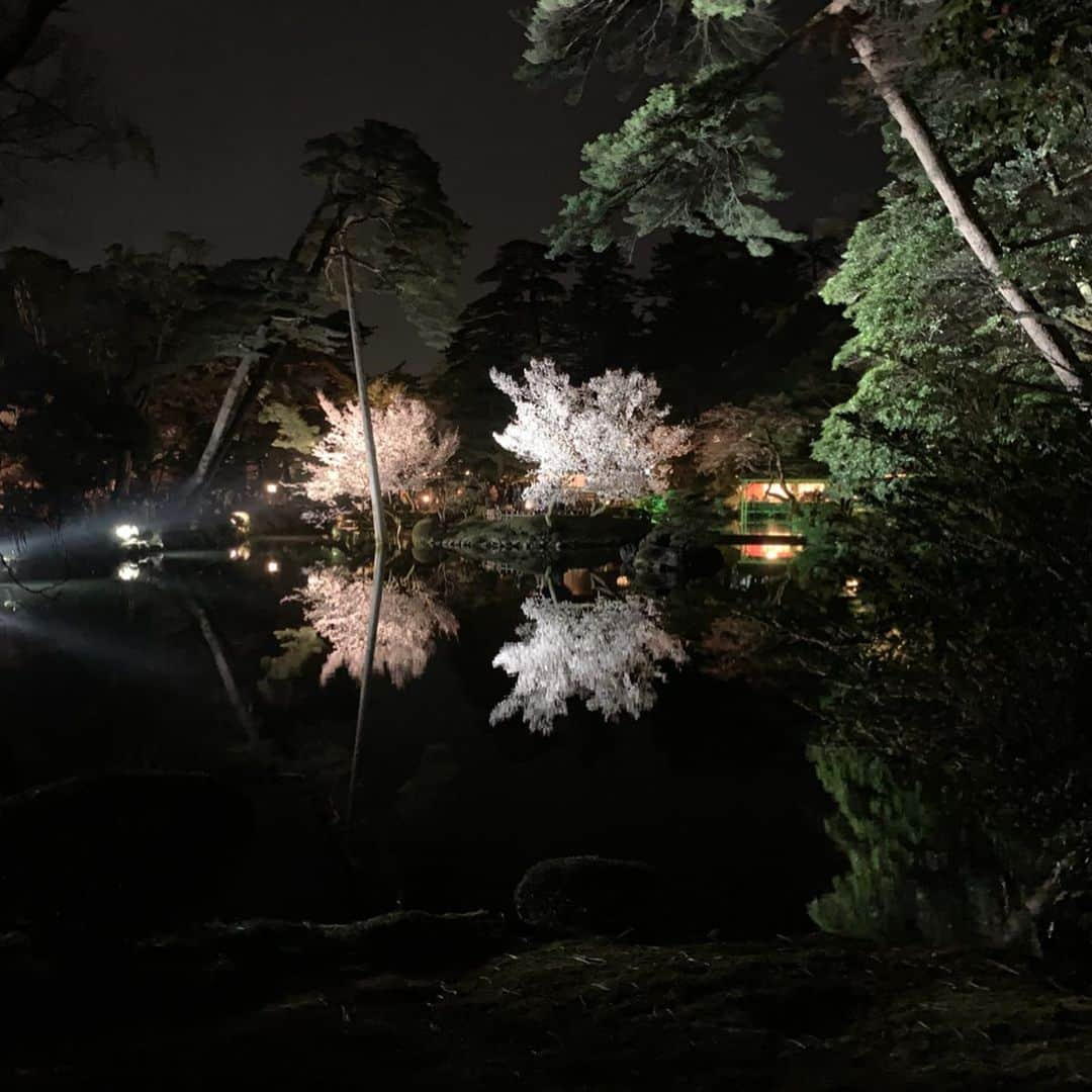 星野真里さんのインスタグラム写真 - (星野真里Instagram)「春の夜の水面に映るその世にも 同じ悩みを持つ人いますか？ #今更ながらの夜桜 #兼六園 #ライトアップの素晴らしさを体験しました #まるでパラレルワールド」5月10日 17時34分 - mari_hoshino.7.27