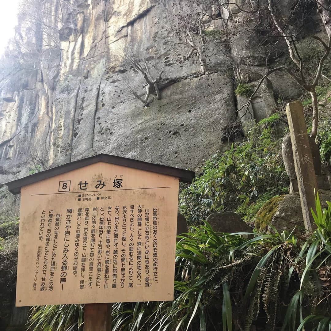 狩野恵輔さんのインスタグラム写真 - (狩野恵輔Instagram)「今年もまた温泉の旅に行ってきました。 5/12(日)13:00OA ご覧ください^_^  #サンテレビ #トラの湯II #山形県 #温泉 #秘境 #マイナスイオン #グルメ #日本航空 #読売旅行 #tko #木下隆行 #中村祐美子  #狩野恵輔」5月10日 17時43分 - keisuke_kanoh_official