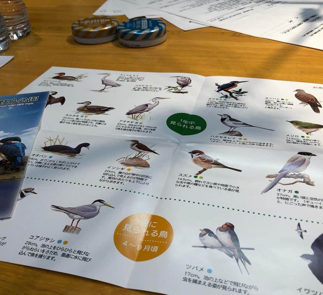 TBSラジオ「たまむすび」さんのインスタグラム写真 - (TBSラジオ「たまむすび」Instagram)「台本の書き間違え「うすい・ひろこん」で笑いが止まらないPNKパイセン😂です！  TOKYOもんは、東京の野鳥🕊特集。日本野鳥の会会員である玉さんの本領発揮。街中でも耳を澄ませてみよう🦆鳥の声が聞こえるかも？  #tama954 #たまむすび #外山惠理 #玉袋筋太郎 #スーさん誕生日おめでとう #tokyoもん #東京の野鳥 #日本野鳥の会 #tbsラジオ #生活は踊る #熟成肉をプレゼント」5月10日 17時57分 - tamamusubi905954