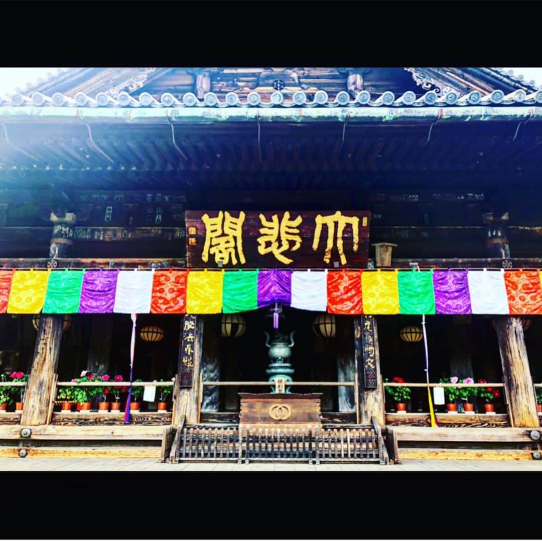 さきえのグルメインスタ