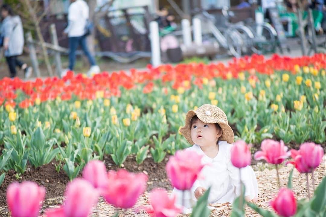 のインスタグラム：「今週もお疲れさまでした😊 現在、「春」をテーマにお写真・動画を募集中です✨ 本日の #タビスルキッズ はこちら💕 📷 @rs891127さん 🚩 山梨県・南都留郡「山中湖 花の都公園」 🎙ご本人コメント GW旅😊2日目  最後は花の都公園！  いろんなお花が咲いてたよー😍  公園もけっこう広くて 近くにあったらいいのになー って感じでした😊 ﻿﻿﻿＊＊＊＊＊＊ こちらは、富士山をバックに色々なお花が楽しめる公園なんんですね！ いつも、かわいいお写真ありがとうございます✨」