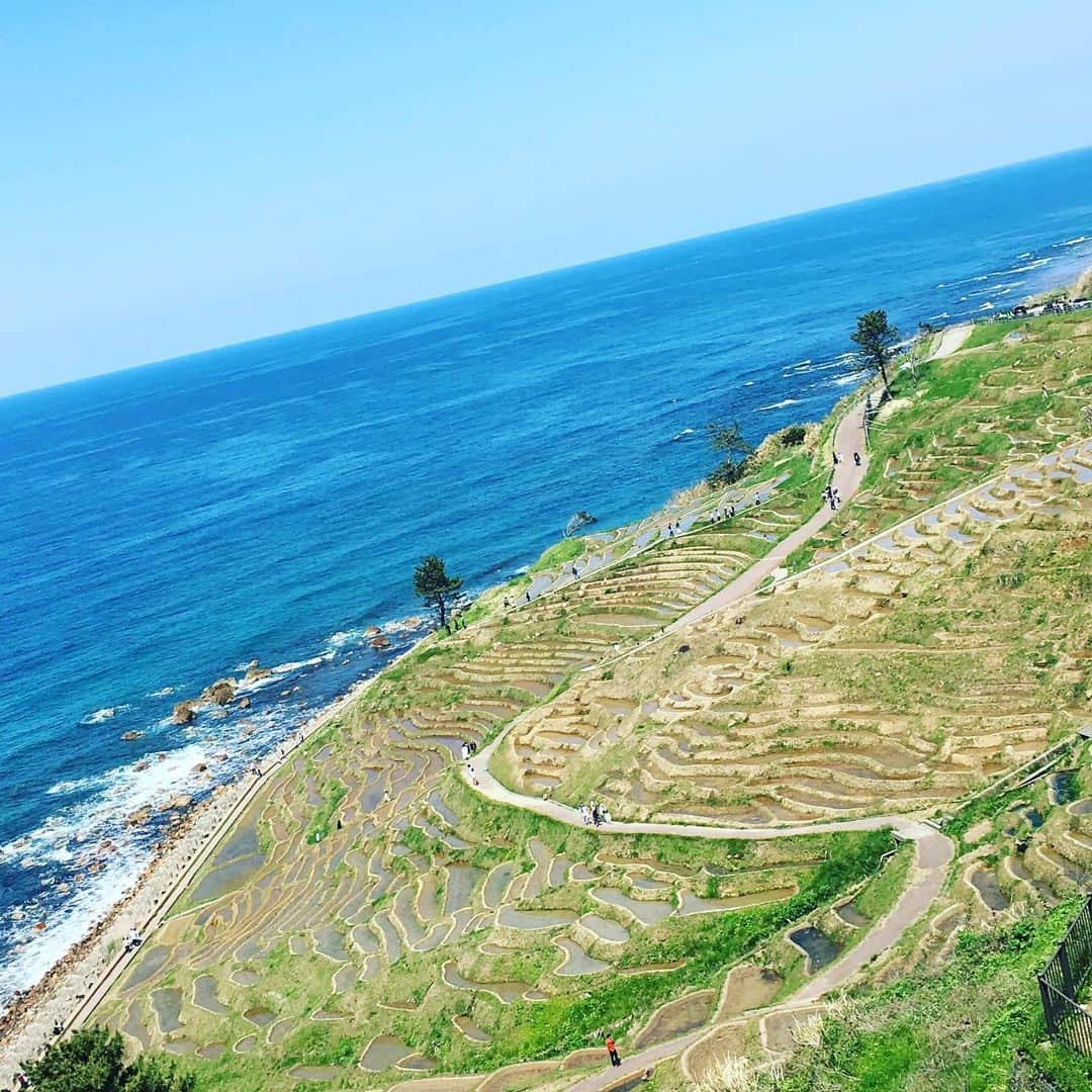 枝川結花さんのインスタグラム写真 - (枝川結花Instagram)「． 白米千枚田にも〜🥰🍚 ※まぶしい顔です ． これ、田んぼ。棚田！ ． 世界農業遺産「能登の里山里海」 ． 日本海に面していて🌊 海も緑もキレイ🌾🌞 夜はイルミネーションスポット！ ． オーナー制度とゆうのがあって、 年間2万円でマイ田んぼ１枚を 借りることができるんだって！ 形さまざま。大きささまざま。 ． はぁ〜自然最高！👊🏼#3150 🤜🏼 #亀田史郎 ． 日本の棚田百選 #輪島市#白米町#絶景#世界農業遺産 #国指定文化財名勝#白米千枚田 ． ♬越中富山は田どころなれど 能登は一枚千枚田♪ ってゆう唄があるんだと🍚 ． 一粒一粒、感謝ですね🙏🏼🍚🌾💓 ． おまけで#福うさぎ 載せます🐇⛩」5月10日 18時29分 - edagwyk84