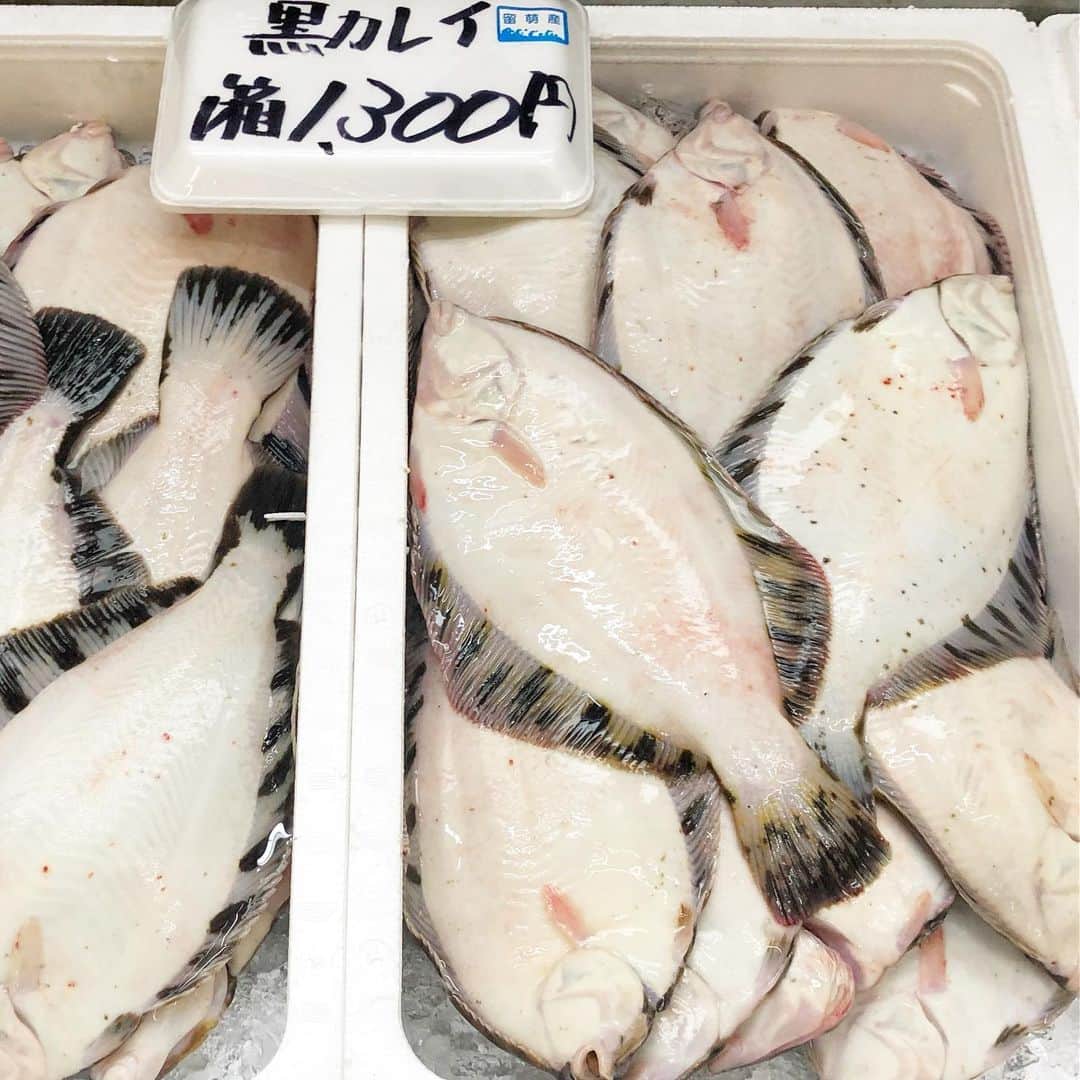 小宮山雄飛さんのインスタグラム写真 - (小宮山雄飛Instagram)「北海道、留萌は数の子の生産量が日本一で有名ですが、とにかく魚が安い。駅前の市場にて、なにこの値段！ 一匹じゃないよ、一箱だよ。 #一箱」5月10日 18時39分 - yuhikomiyama