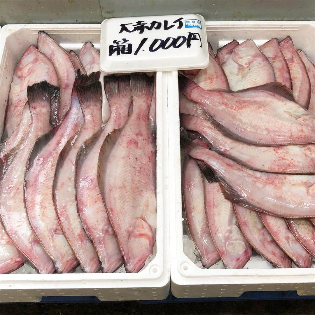 小宮山雄飛さんのインスタグラム写真 - (小宮山雄飛Instagram)「北海道、留萌は数の子の生産量が日本一で有名ですが、とにかく魚が安い。駅前の市場にて、なにこの値段！ 一匹じゃないよ、一箱だよ。 #一箱」5月10日 18時39分 - yuhikomiyama