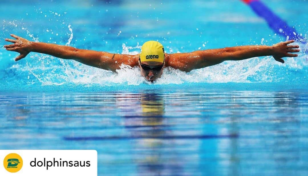 グラント・アーヴァインのインスタグラム：「Posted @withrepost • @dolphinsaus Happy Flyday ✌️」