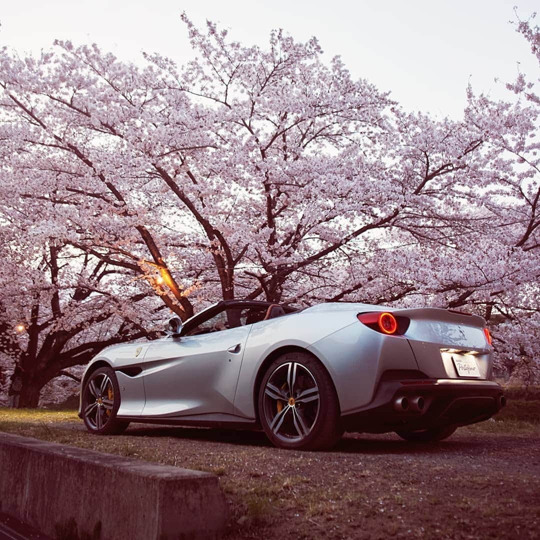 Ferrari APACさんのインスタグラム写真 - (Ferrari APACInstagram)「An ode to spring. The #FerrariPortofino remains true to its level of stylistic beauty in this dream-like landscape. ⁣ ⁣ Click link in bio and make every day a getaway with a Ferrari Portofino. ⁣ ⁣ #JourneyWithFerrariPortofino #FerrariPortofinoExperience #Japan」5月10日 19時06分 - ferrariapac