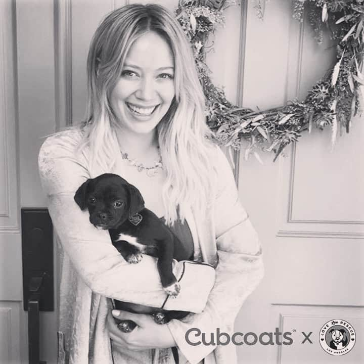 ヒラリー・ダフさんのインスタグラム写真 - (ヒラリー・ダフInstagram)「Throughout the month of May, @Cubcoats is donating a portion of all sales on their puppy Cubcoat, Pimm, to @LoveLeoRescue , a foundation near and dear to our heart!」5月11日 5時28分 - hilaryduff