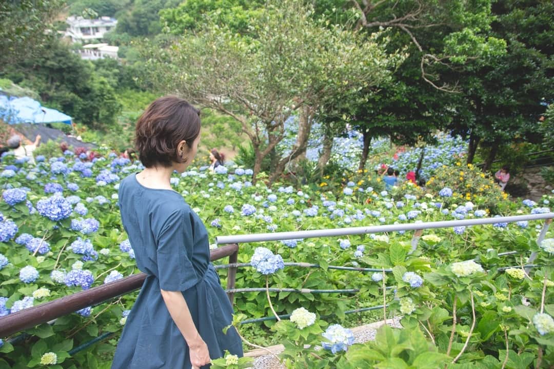 現地発信の旅行サイト「たびらい」さんのインスタグラム写真 - (現地発信の旅行サイト「たびらい」Instagram)「【沖縄・本部町】 沖縄は梅雨入りが間近に迫ってきておりますが、この時期だからこそ楽しめるのが本部町の「よへなあじさい園」。園内に咲き誇る30万輪のあじさいや南国の花々は、雨が降っていることも忘れてしまう程の美しさですよ。 : #たびらい #tabirai #旅行好き #旅行好きな人と繋がりたい #ローカル旅行 #女子旅 #travel #沖縄 #たびらい沖縄 #沖縄県 #かわいい旅 #travelgram #旅行 #花 #flower #お花 #夏 #flowers #instagood #紫陽花 #紫陽花園 #あじさい #よへなあじさい園 #梅雨 #週末の過ごし方 #本部町 #沖縄旅行 #沖縄やんばる #沖縄北部 #flowergram」5月10日 21時01分 - tabirai