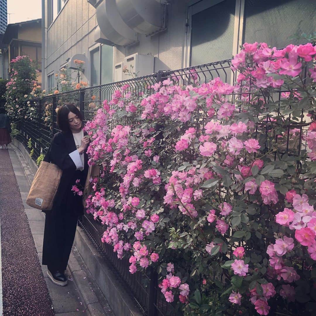 犬山紙子さんのインスタグラム写真 - (犬山紙子Instagram)「好きな人と好きな場所」5月10日 21時25分 - inuyamakamiko