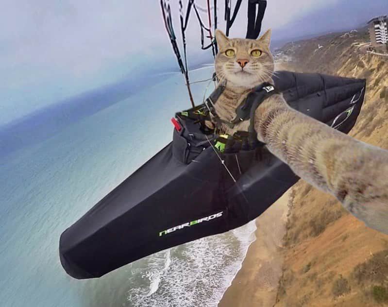 マニーのインスタグラム：「TGIF 😹🤳 #GoPro Have a Great Weekend!」