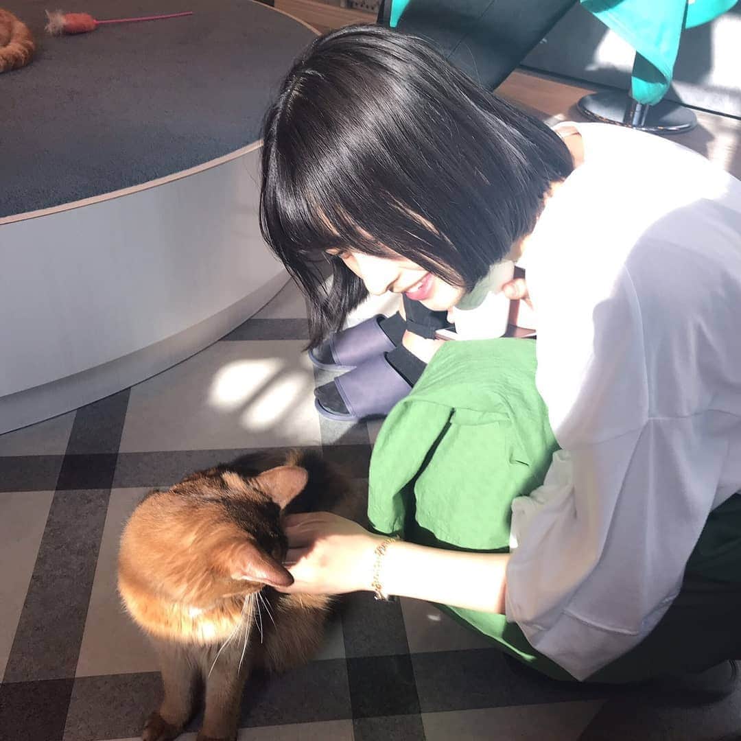 のインスタグラム：「いつもコメントありがとうございます、、！！﻿ 毎日欠かさず見させてもらってます🥰えへ🥰﻿ GW明けの平日よく頑張りました👏🏻﻿ (と自分にも言い聞かせる)﻿ そして今日は久々にドラム練習をしてきて﻿ 指が痛い！皮が向ける！でも楽しい！笑﻿ ﻿ 写真は連休中に友達と﻿ 人生初の猫カフェに行ったときの！﻿ はぁ〜〜また頭なでなでしたくなる〜〜🐈﻿ #littledarlingcoffeeroasters カフェにも☕️﻿ 海外っぽくて可愛いくておいしかったまたいく！﻿ ﻿ #高井ンスタグラム 🐻﻿ #ちぃすたぐらむっていうのもアリなのか ﻿ #色々提案してくれて嬉しい﻿ #いやそろそろ定着させなさいって感じよね﻿ #高井千帆」