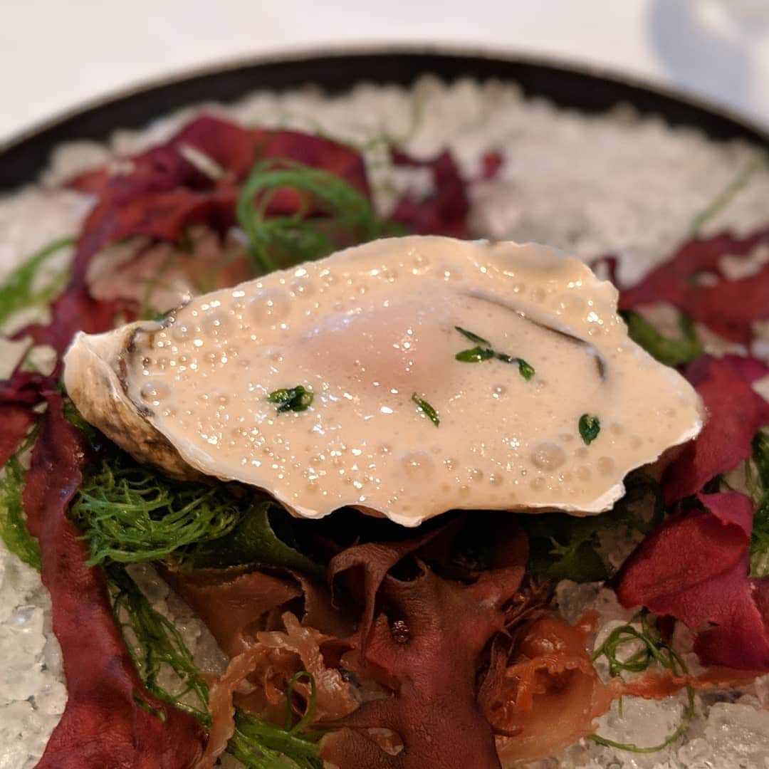 Masayasu Moritaさんのインスタグラム写真 - (Masayasu MoritaInstagram)「#牡蠣 #イベリコ豚 #oyster #iberico #danigarcia #日本橋グルメ #tokyo #東京 #もりたま飯 #foodie #foodgasm #foodphotography #foodstagram #美食 #delicious #tasty #instafood #グルメ #food #yummy #foodporn #デリスタグラマー #グルメな人と繋がりたい #スペイン好きな人と繋がりたい」5月10日 22時28分 - masayasumorita