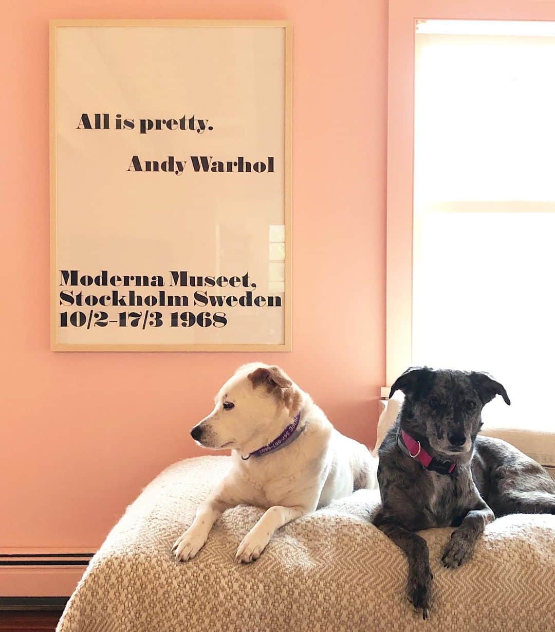 Grace Bonneyのインスタグラム：「Hope and Winky’s album cover. These two know their angles. 💅🏽📸」
