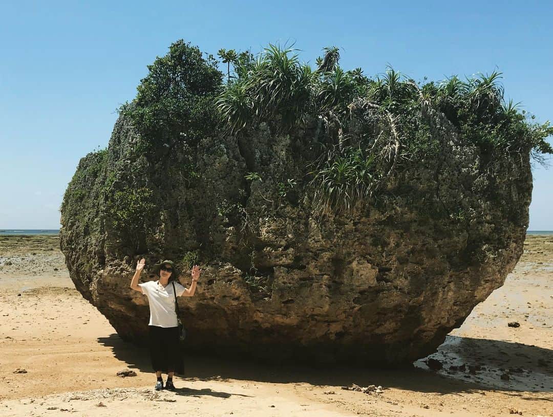 佐野優子のインスタグラム：「. 天気に恵まれたゴールデンウィーク🏝 . 海と空の青さに癒され、そして食べ過ぎた🐖 . #ゴールデンウィーク #旅行 #おきなわ #海ぶどう#アグー豚#豚」
