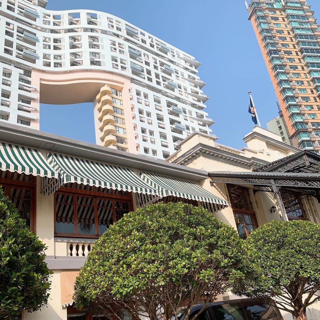 水谷雅子さんのインスタグラム写真 - (水谷雅子Instagram)「香港の高級住宅街で有名なレパルスベイ⭐️レストラン🍴 都市から少し離れた素敵なリゾート✨✨ マネージャーさんとアフタヌーンティーを頂きました❣️🍰🧁☕️ 優雅なティータイムを過ごしました。幸せ〜 素敵なマンションにある大きな空間は気を通すためのものみたいです。いわゆる風水ですね😉✨✨✨✨ #香港#レパルスベイ#アフタヌーンティー  #素敵なアフタヌーンティーありがとう  #優雅なひととき  #水谷雅子#水谷雅子beautybook50の私」5月10日 22時36分 - mizutanimasako