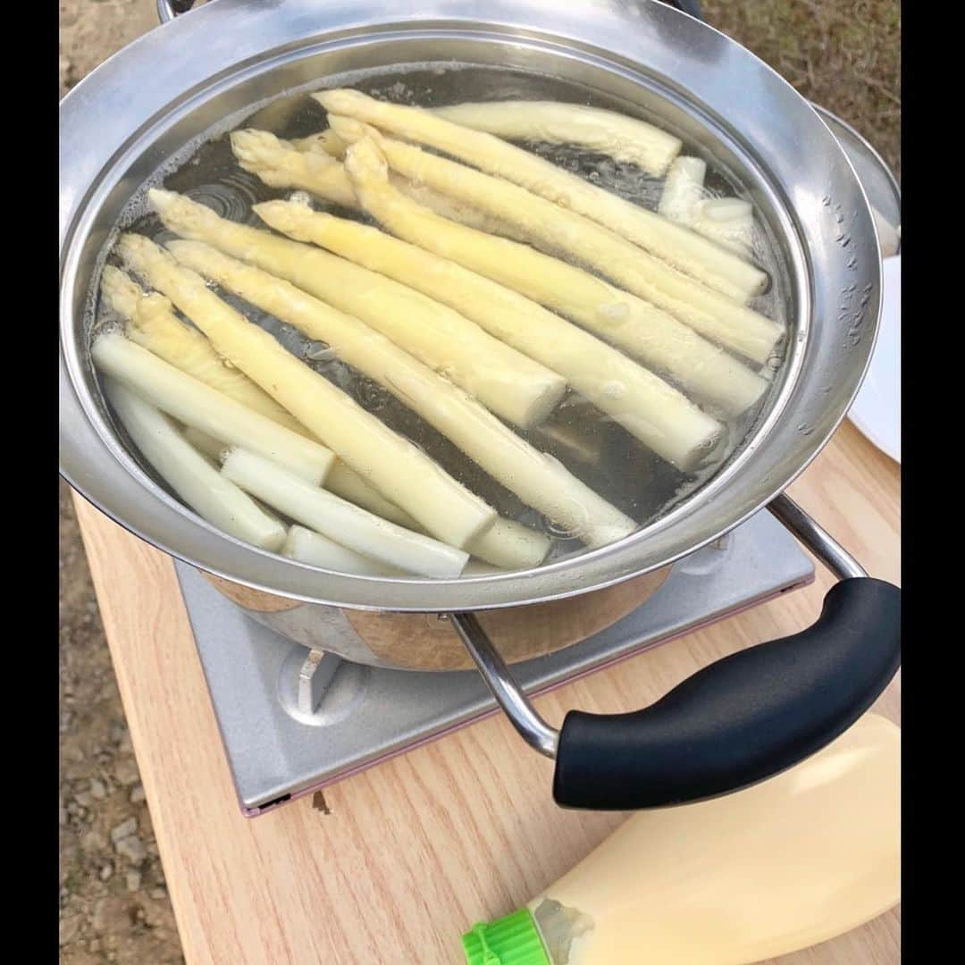 福田太郎さんのインスタグラム写真 - (福田太郎Instagram)「春の味覚ですね〜👨‍🌾 まさに旬の、北海道産ホワイトアスパラは 甘み旨味が、ぎゅっと詰まっているのが特徴。 光が遮られたハウスの中は、ちょっぴり幻想的でした🚜  採れたてを 畑で茹でて マヨネーズ  #ホワイトアスパラ #渡り鳥 たち #シベリア に行くらしい #美深町 の農家 森元さん一家の #イチオシ は 茹でマヨ あすの #イチモニ でオススメ料理もご紹介🍳朝6時半〜 #食のチカラ スペシャルは朝9時50分〜ですー！」5月10日 22時52分 - htb_tarofukuda