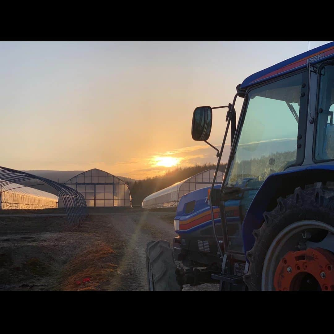 福田太郎さんのインスタグラム写真 - (福田太郎Instagram)「春の味覚ですね〜👨‍🌾 まさに旬の、北海道産ホワイトアスパラは 甘み旨味が、ぎゅっと詰まっているのが特徴。 光が遮られたハウスの中は、ちょっぴり幻想的でした🚜  採れたてを 畑で茹でて マヨネーズ  #ホワイトアスパラ #渡り鳥 たち #シベリア に行くらしい #美深町 の農家 森元さん一家の #イチオシ は 茹でマヨ あすの #イチモニ でオススメ料理もご紹介🍳朝6時半〜 #食のチカラ スペシャルは朝9時50分〜ですー！」5月10日 22時52分 - htb_tarofukuda