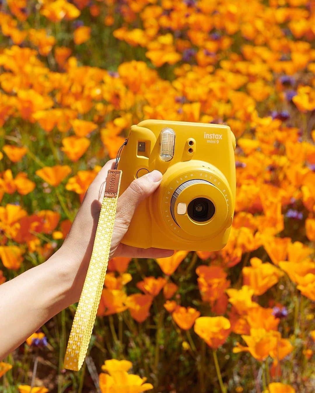 Urban Outfittersさんのインスタグラム写真 - (Urban OutfittersInstagram)「When the camera is extremely photogenic so you gotta take a picture of it with a different camera. It’s fine. 🌼 @fujifilm_instax_northamerica #UOTech @UrbanOutfittersHome」5月10日 23時32分 - urbanoutfitters