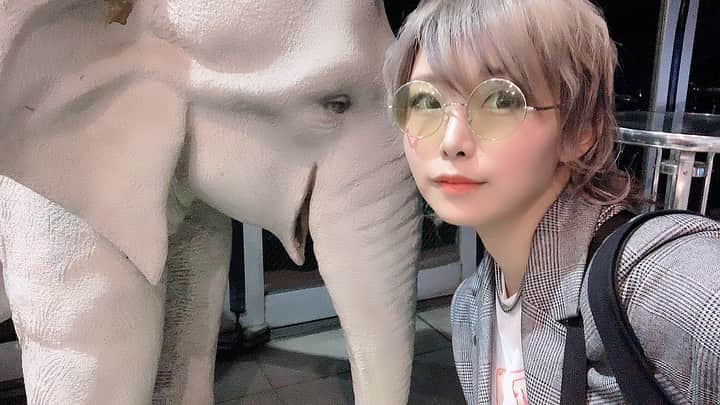 澁谷梓希さんのインスタグラム写真 - (澁谷梓希Instagram)「. . #🐘 . . #japan #instagood #selfie #hairstyles #nightsafari」5月10日 23時41分 - azk_s811