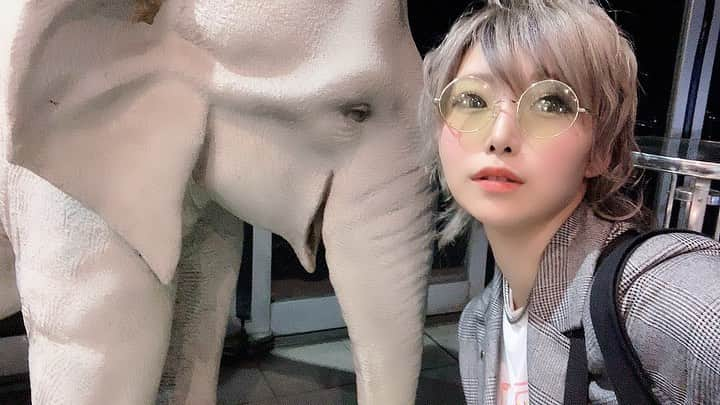 澁谷梓希さんのインスタグラム写真 - (澁谷梓希Instagram)「. . #🐘 . . #japan #instagood #selfie #hairstyles #nightsafari」5月10日 23時41分 - azk_s811