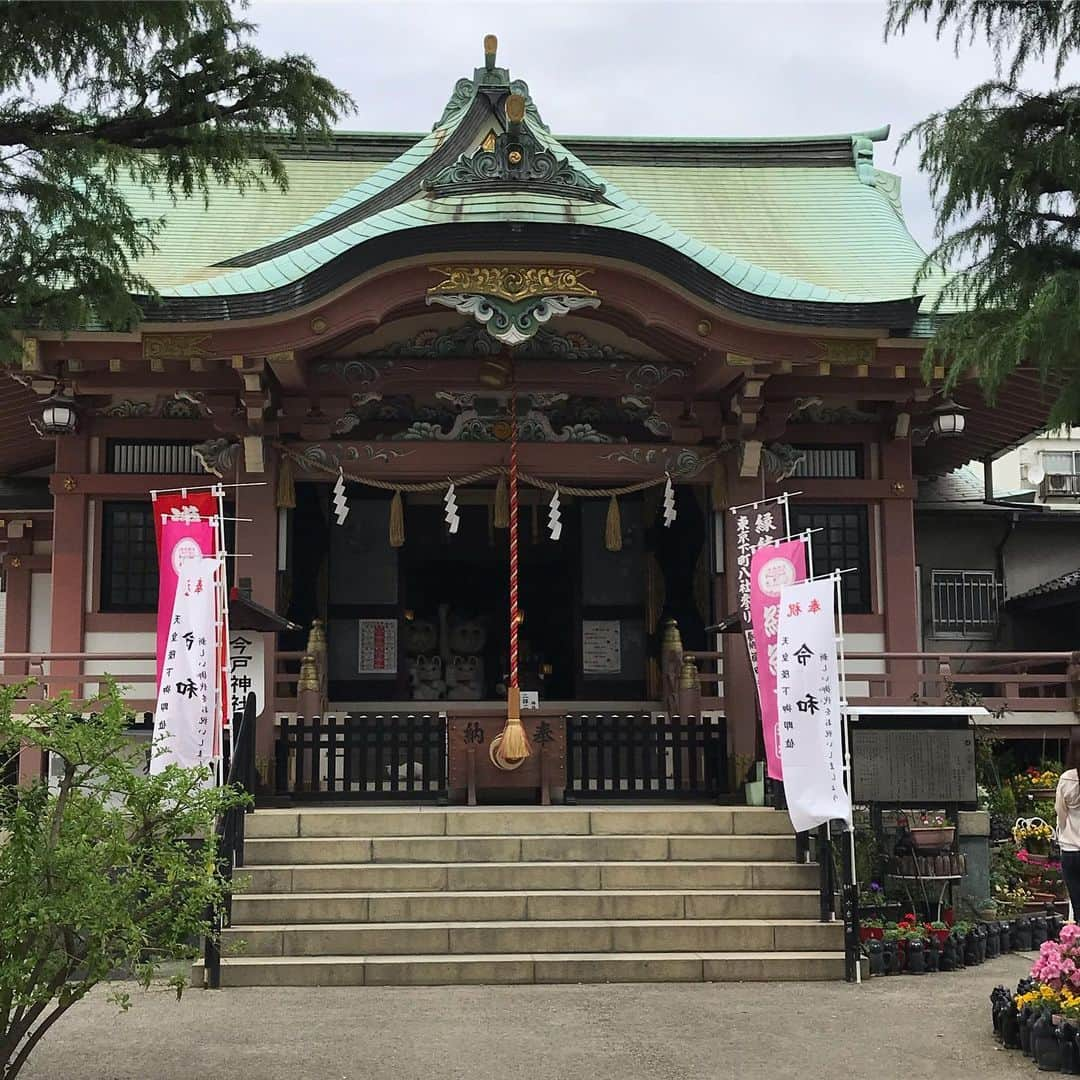 村上りいなさんのインスタグラム写真 - (村上りいなInstagram)「招き猫発祥の地と言われる、 #今戸神社 に行ってきました。  看板猫の白猫ちゃんが可愛かった。 いい寝顔してた💓 猫のモチーフの飾りとかが、いっぱいあって猫好きには堪らない神社です！  お守りとか売ってるおばさんも、気さくでパワフルな方だったので、楽しかった☺️ オススメのお店も教えて下さいました！下町の雰囲気が溢れる素敵な神社です⛩  #asakusa #浅草 #猫 #cat #temple #instagood #love #trip #recommended #tokyo #japan #癒し」5月10日 23時52分 - riina_murakami