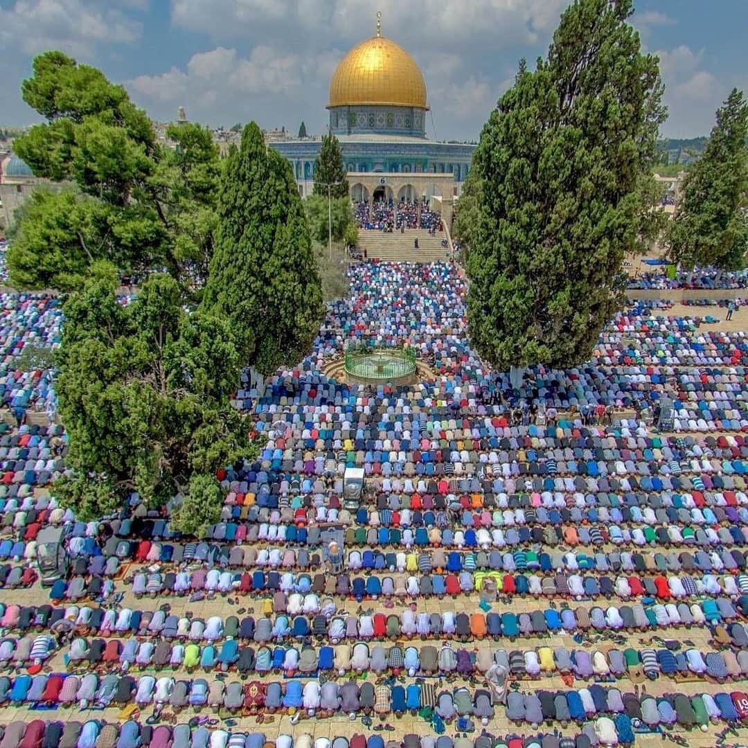 マヘル・ザインさんのインスタグラム写真 - (マヘル・ザインInstagram)「First Jumaa prayer in Ramadan, Masjid Al Aqsa. Photo credit: Mahmoud Moutan」5月11日 0時06分 - maherzainofficial