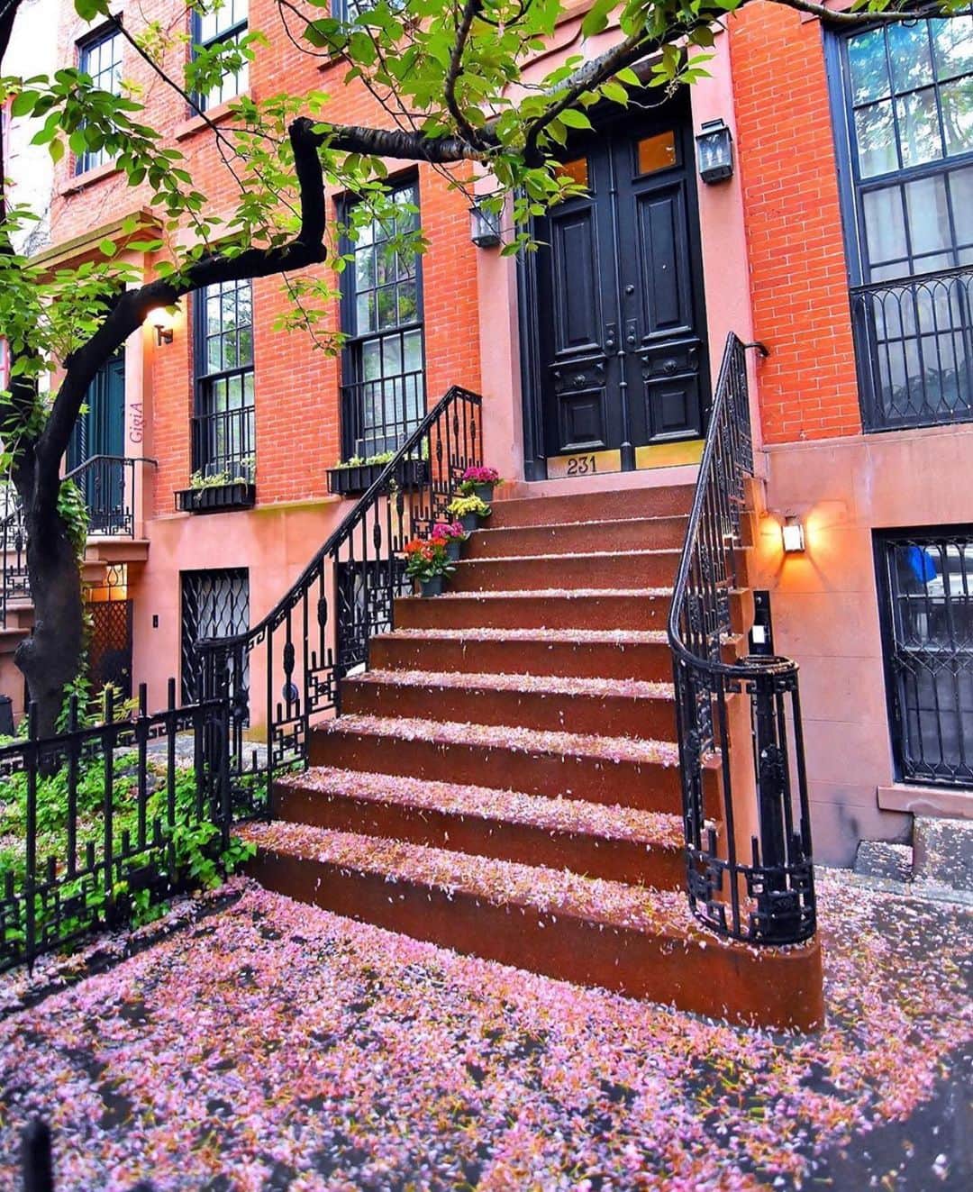 のインスタグラム：「Mother’s Day inspiration, even on a cloudy day. Pink petals line townhouses across Greenwich Village—captured by the amazing @gigi.nyc  #bondno9 #bondno9ny #newyork #newyorkcity #nyc #greenwichvillage #mothersday #fragrance #perfume #love」