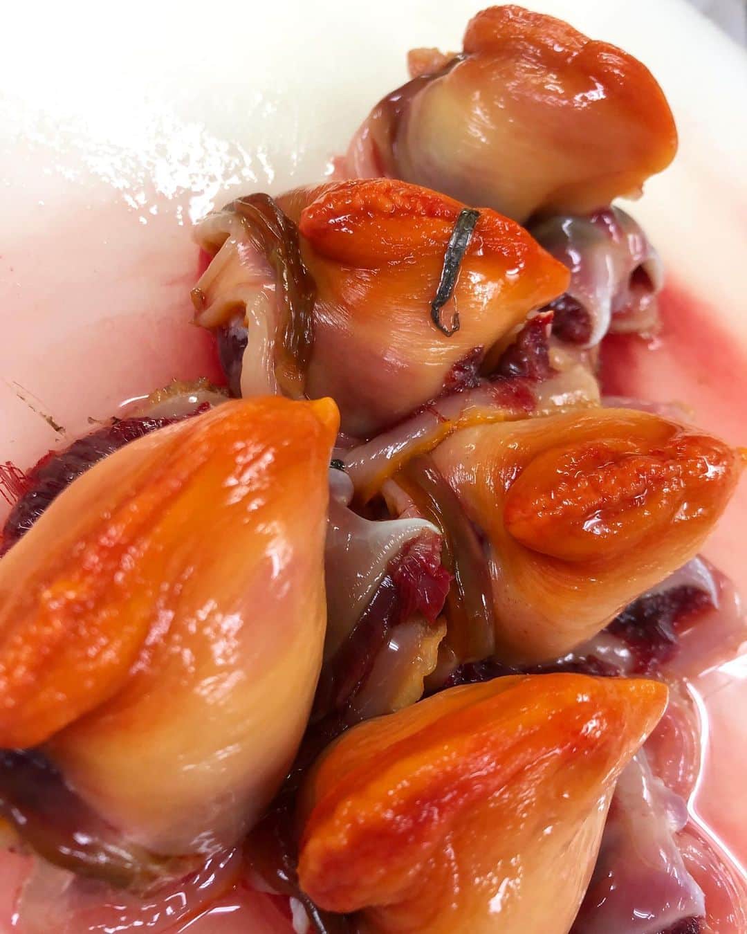 寿司居酒屋 番屋のグルメインスタ