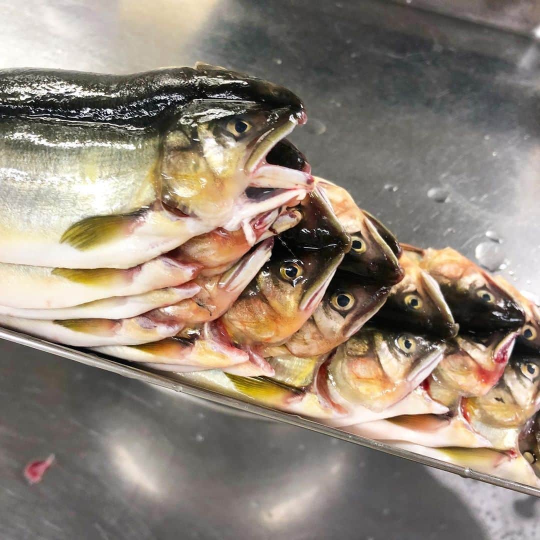 寿司居酒屋 番屋のグルメインスタ