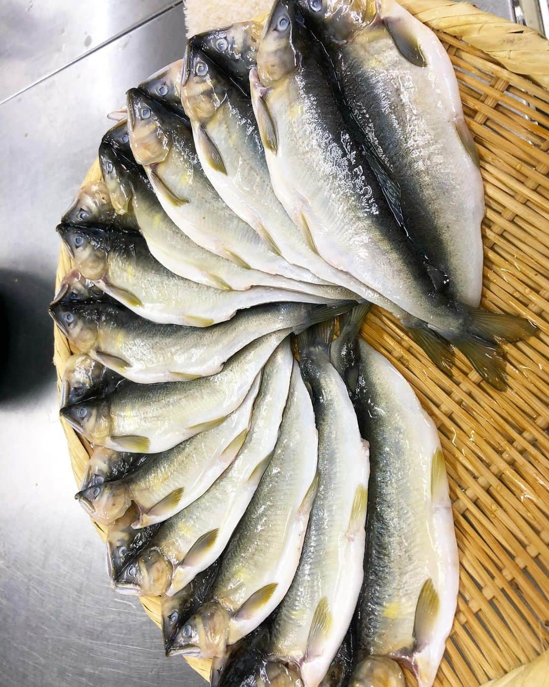 寿司居酒屋 番屋のグルメインスタ