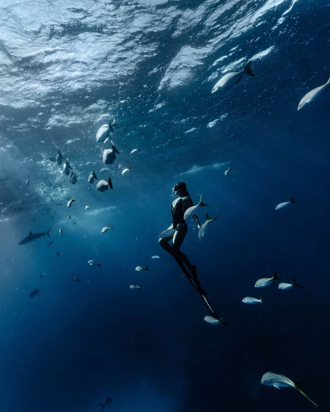 サシャ・カリスのインスタグラム：「I find my peace where some may find danger 🦈💦 @bahamasnationaltrust @exumacayslandandseapark 📸 @elenakalis」