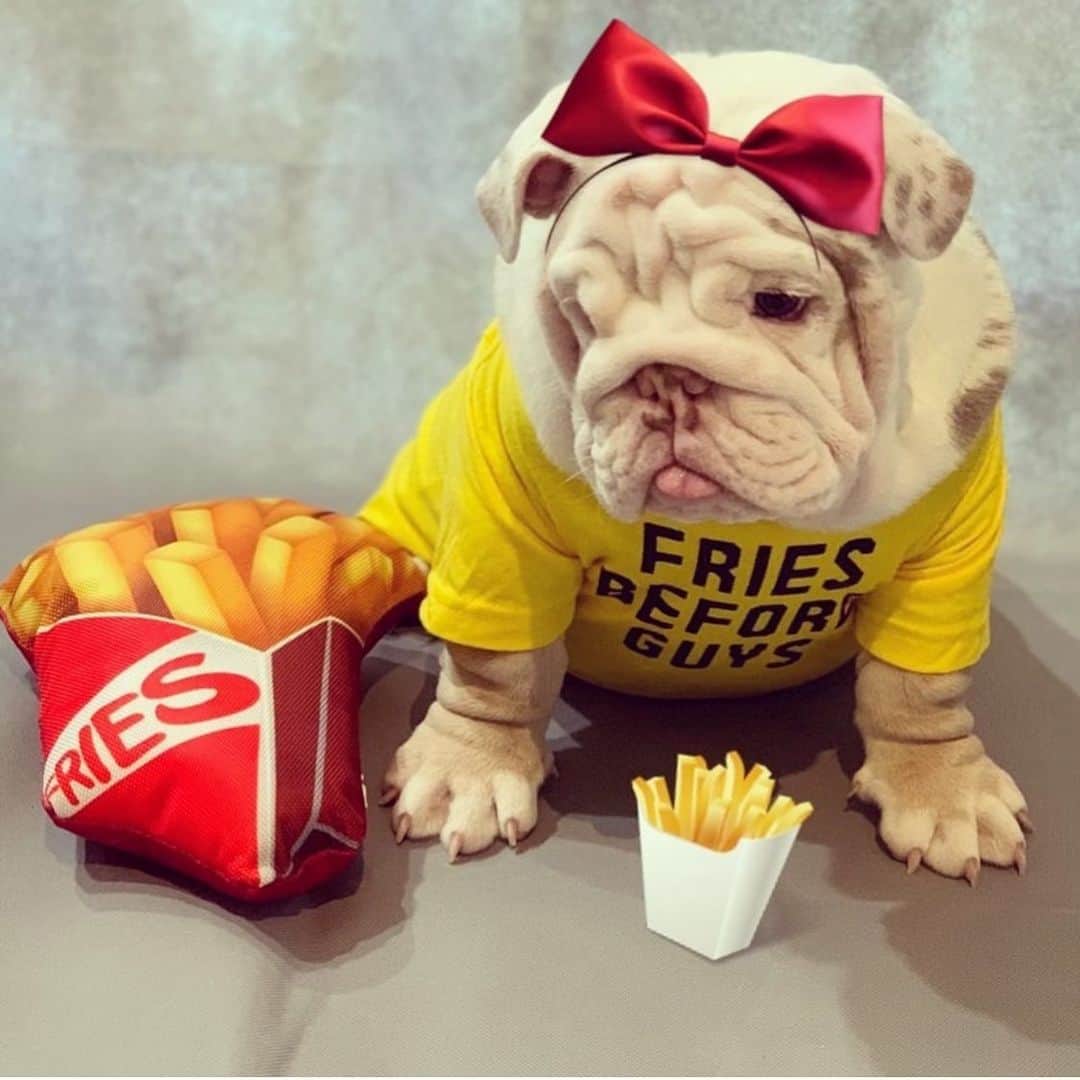Bodhi & Butters & Bubbahさんのインスタグラム写真 - (Bodhi & Butters & BubbahInstagram)「Can’t decide if I want snacks or if I want to be a snack 💁🏼‍♀️🍟🐾 . . . . . #illhavefrieswiththat #snack #bulldog #life #thick #baby #cute #girl @bonnie_and_clyde_bullys」5月11日 2時11分 - keonistuff